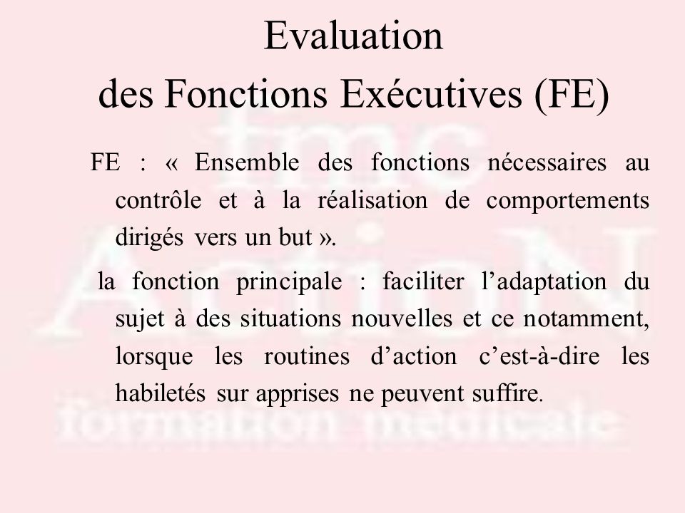 Evaluation des Fonctions Exécutives (FE)