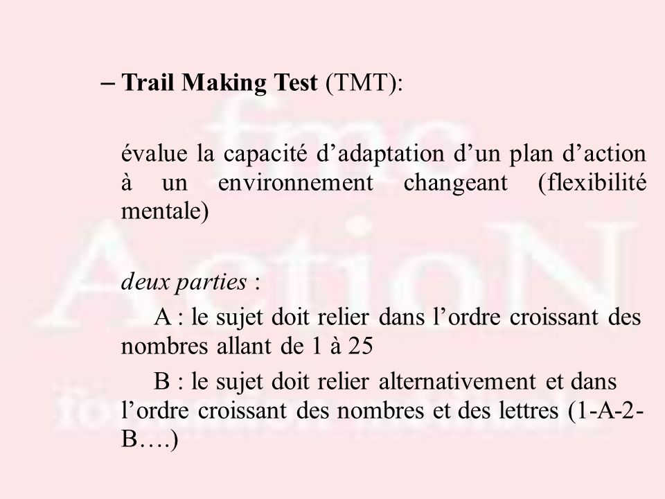 Trail Making Test (TMT):