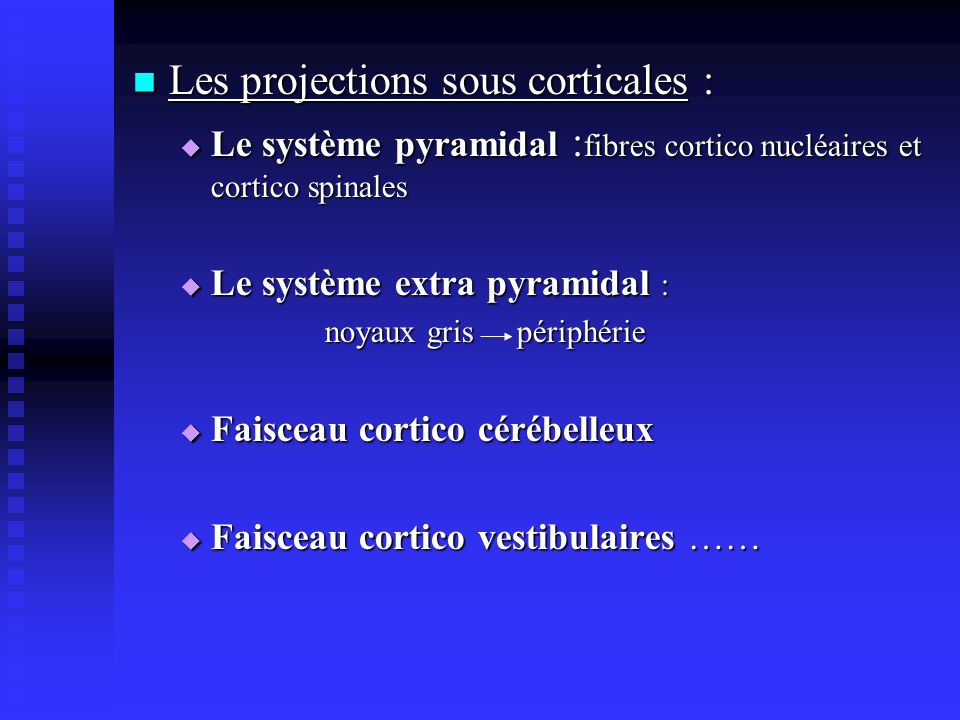 Les projections sous corticales :