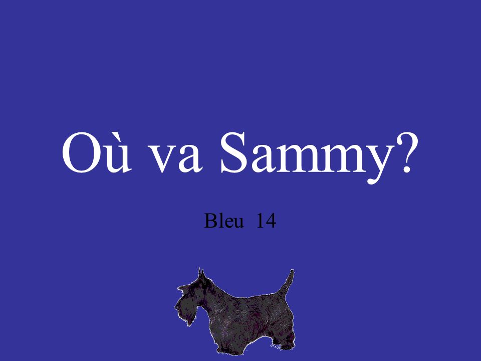 Où va Sammy Bleu 14