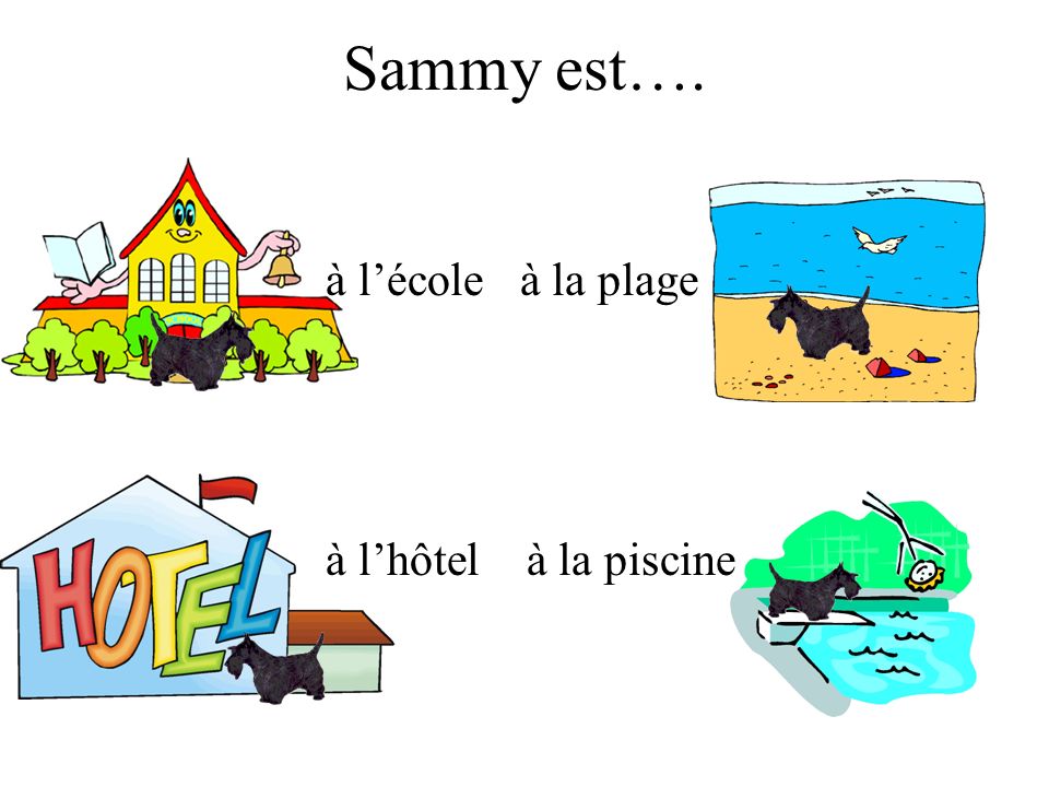 Sammy est…. à l’école à la plage à l’hôtel à la piscine