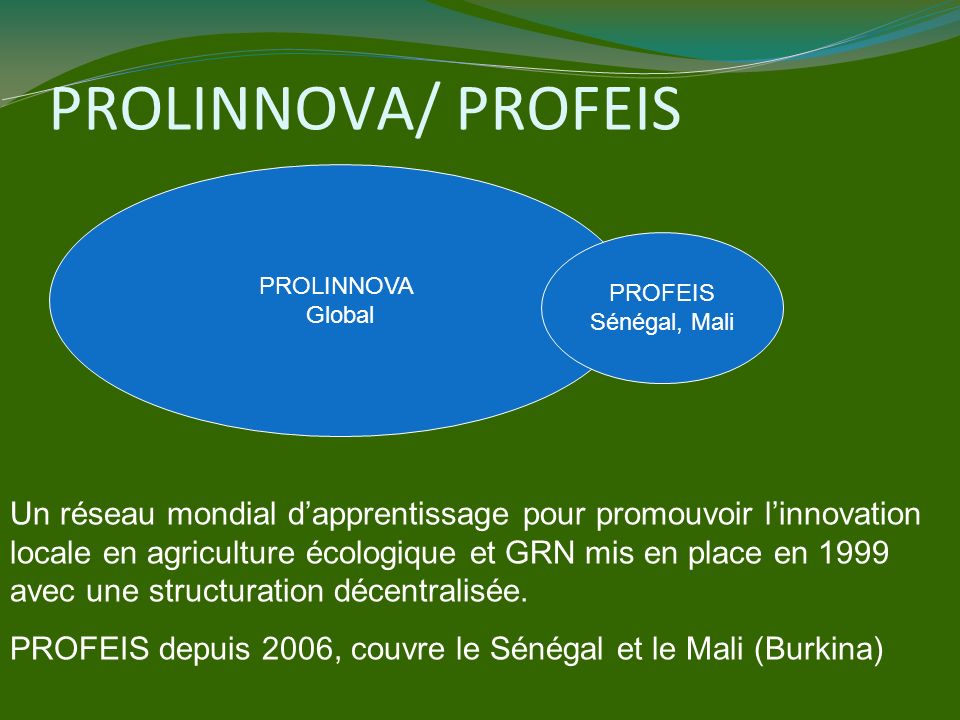 PROLINNOVA/ PROFEIS PROLINNOVA. Global. PROFEIS. Sénégal, Mali.