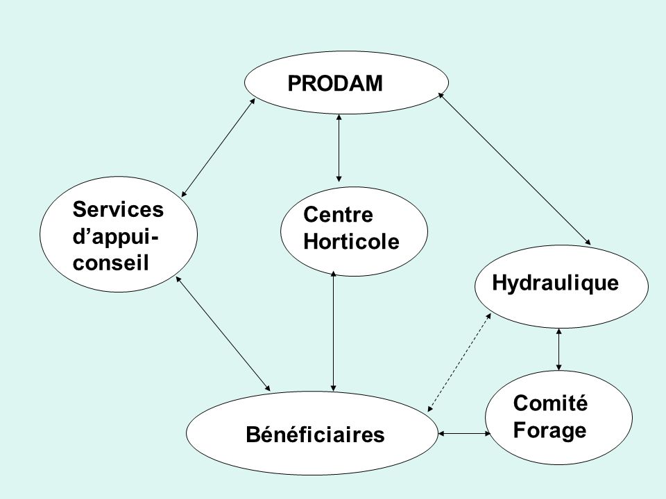 Bénéficiaires Comité Forage Hydraulique Centre Horticole Services d’appui-conseil PRODAM