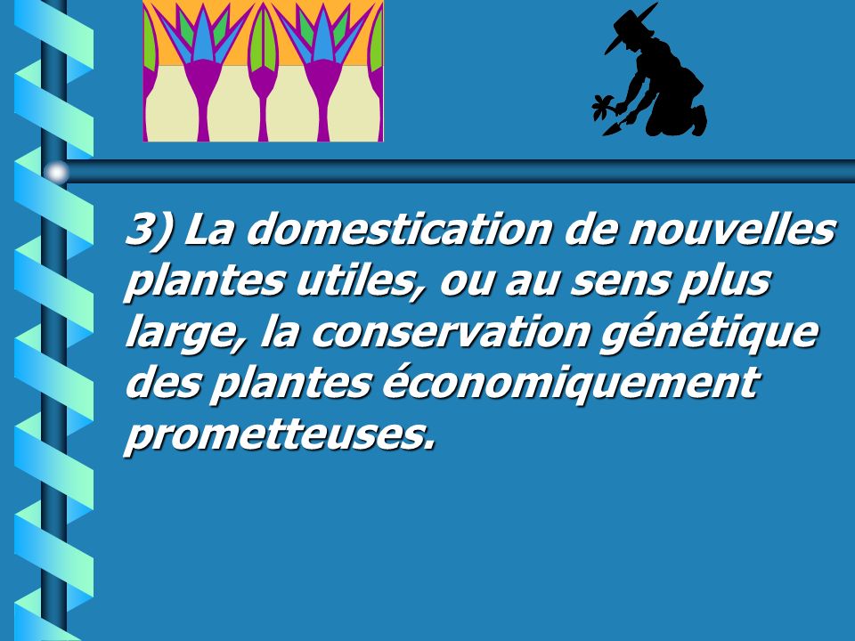 3) La domestication de nouvelles plantes utiles, ou au sens plus large, la conservation génétique des plantes économiquement prometteuses.