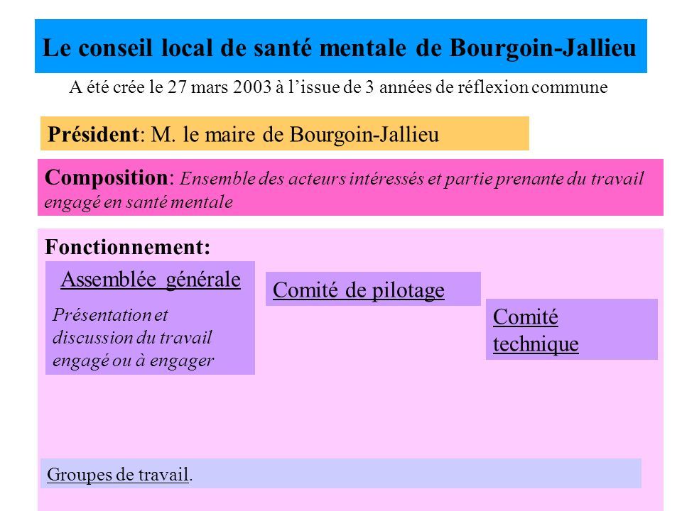 Le conseil local de santé mentale de Bourgoin-Jallieu