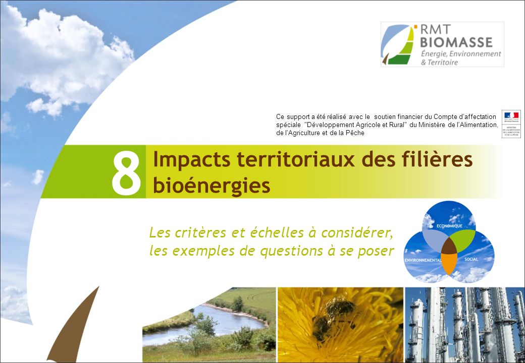 8 Impacts territoriaux des filières bioénergies