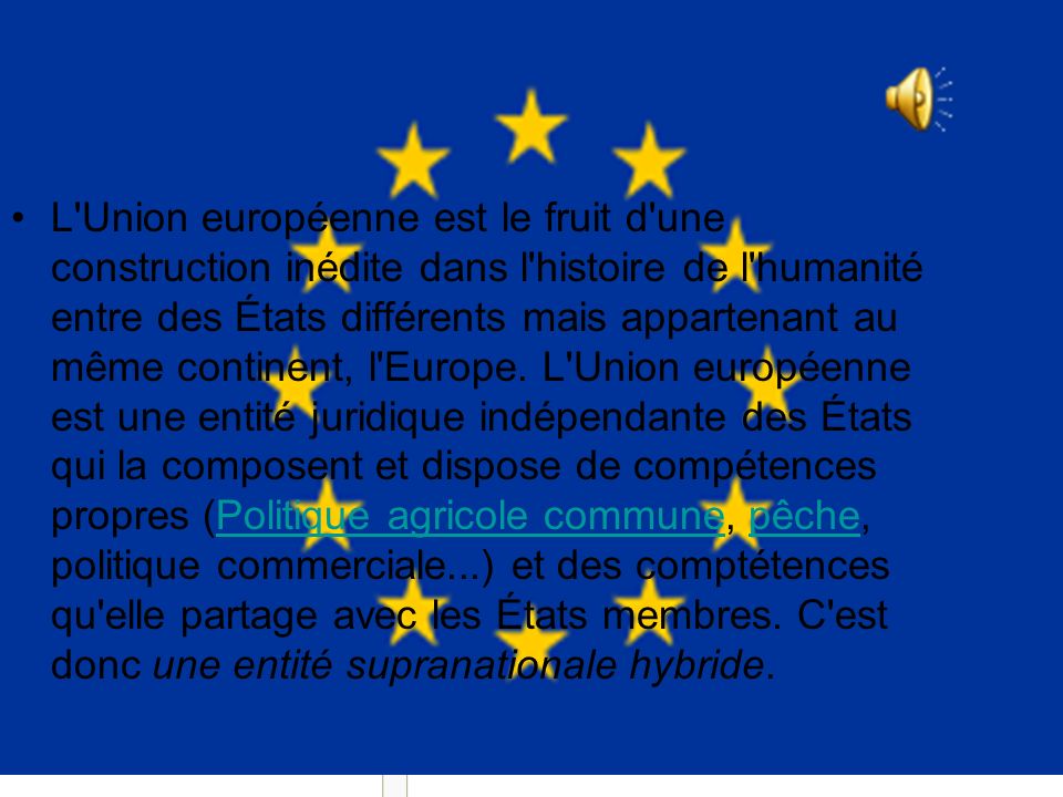 Union européenne (*)