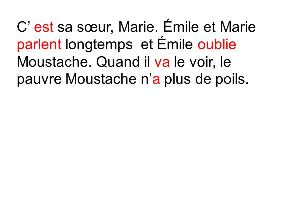 C’ est sa sœur, Marie. Émile et Marie parlent longtemps et Émile oublie Moustache.