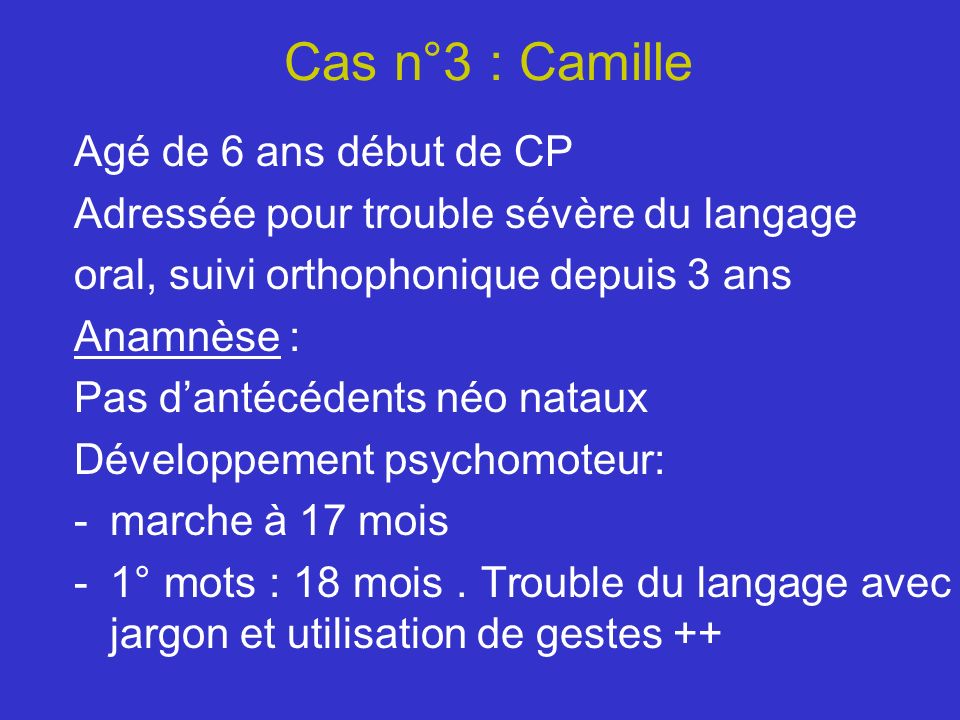Cas n°3 : Camille Agé de 6 ans début de CP