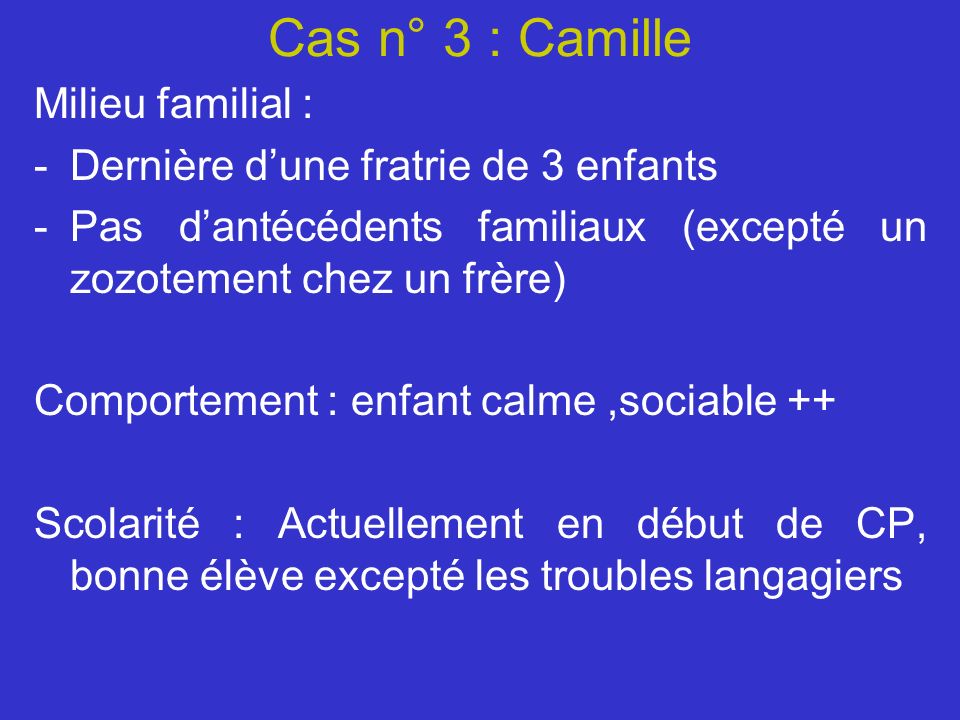 Cas n° 3 : Camille Milieu familial :