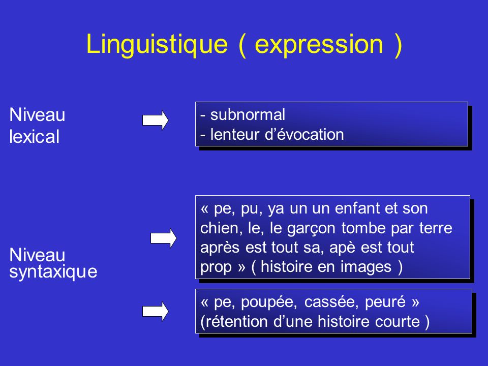 Linguistique ( expression )