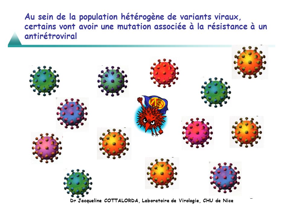 Dr Jacqueline COTTALORDA, Laboratoire de Virologie, CHU de Nice