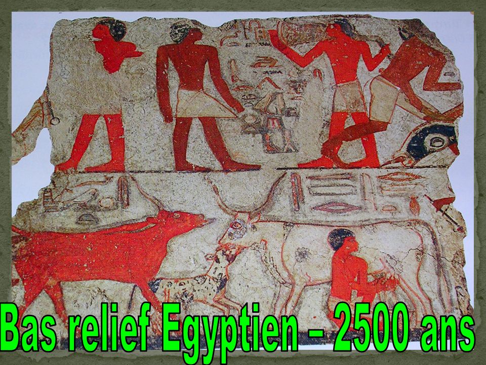 Bas relief Egyptien – 2500 ans