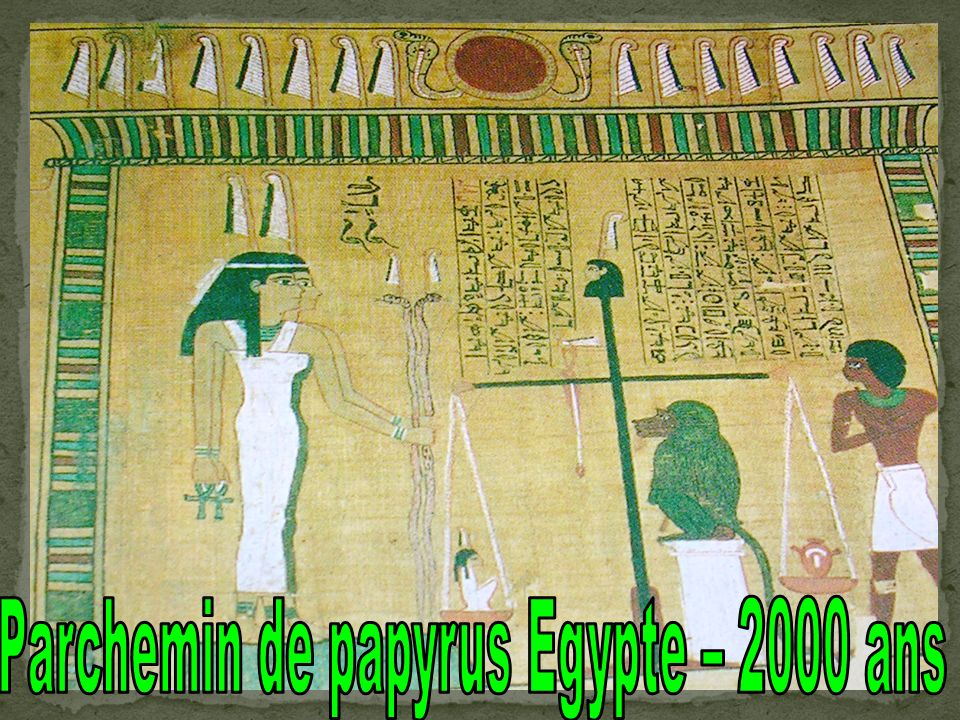 Parchemin de papyrus Egypte – 2000 ans