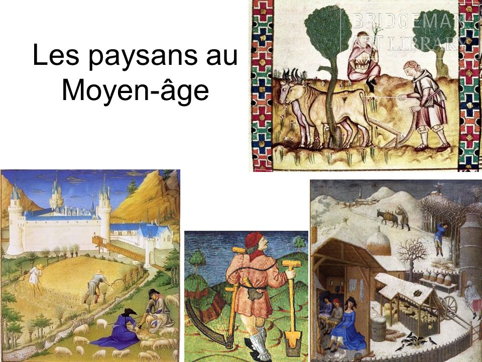 Les paysans au Moyen-âge