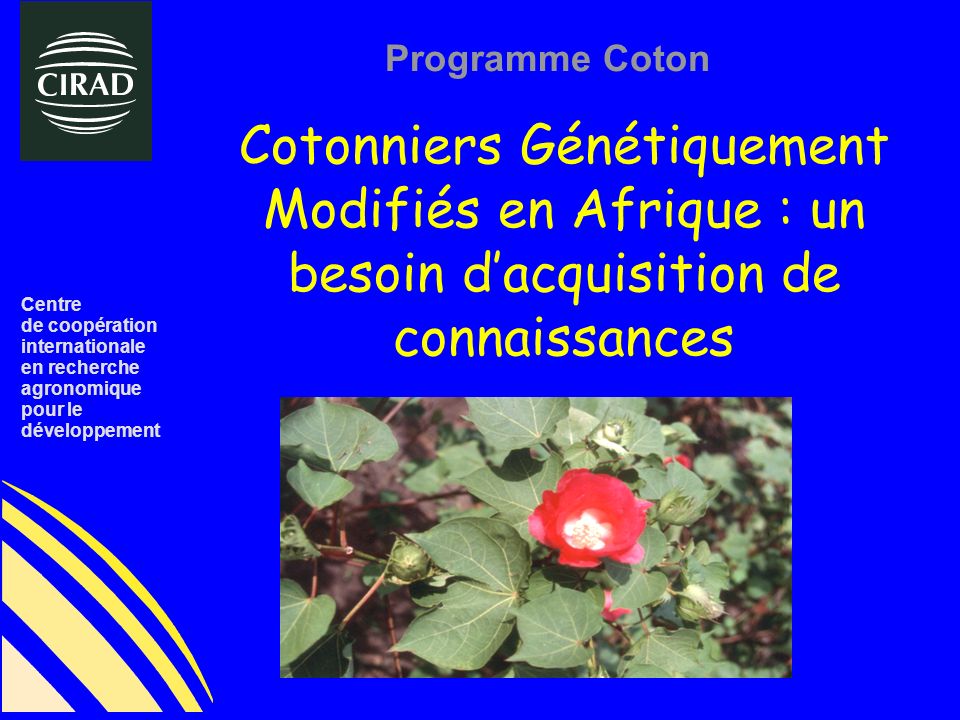 Centre de coopération. internationale. en recherche. agronomique. pour le. développement. Programme Coton.