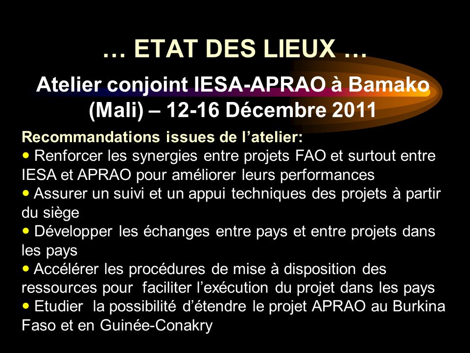 Atelier conjoint IESA-APRAO à Bamako (Mali) – Décembre 2011