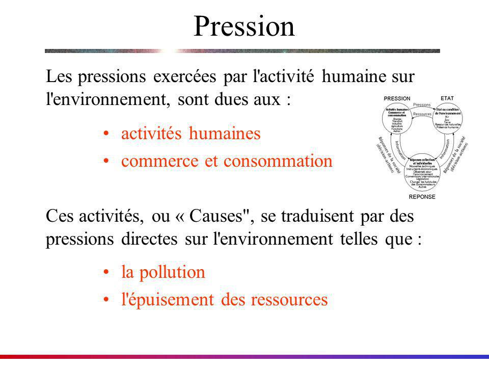 Pression Les pressions exercées par l activité humaine sur l environnement, sont dues aux : activités humaines.