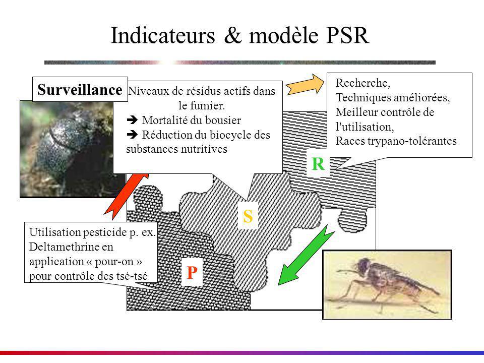 Indicateurs & modèle PSR