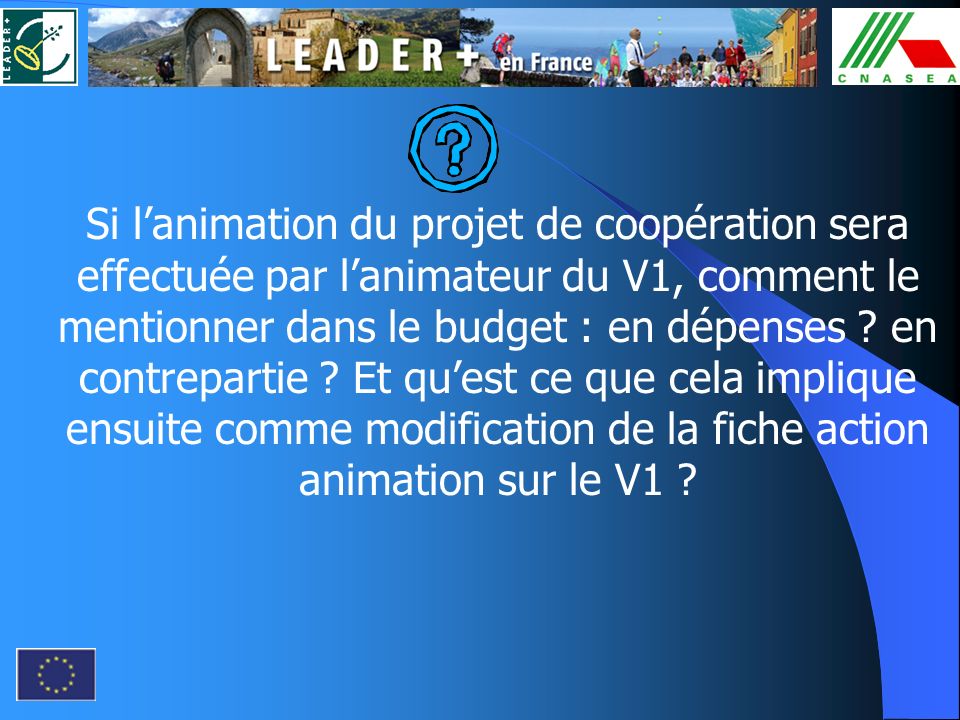 Si l’animation du projet de coopération sera effectuée par l’animateur du V1, comment le mentionner dans le budget : en dépenses .