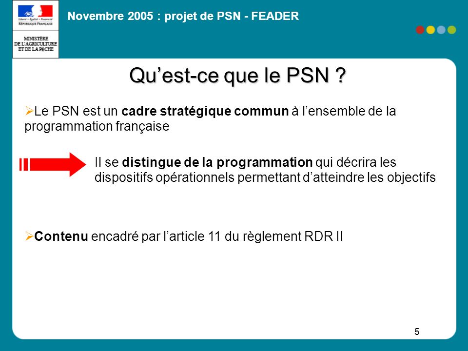 Qu’est-ce que le PSN Le PSN est un cadre stratégique commun à l’ensemble de la programmation française.