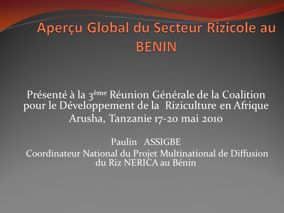 Aperçu Global du Secteur Rizicole au BENIN