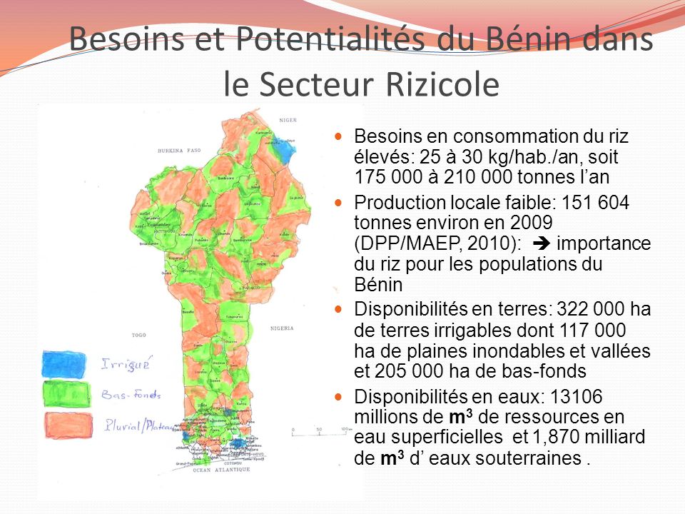 Besoins et Potentialités du Bénin dans le Secteur Rizicole