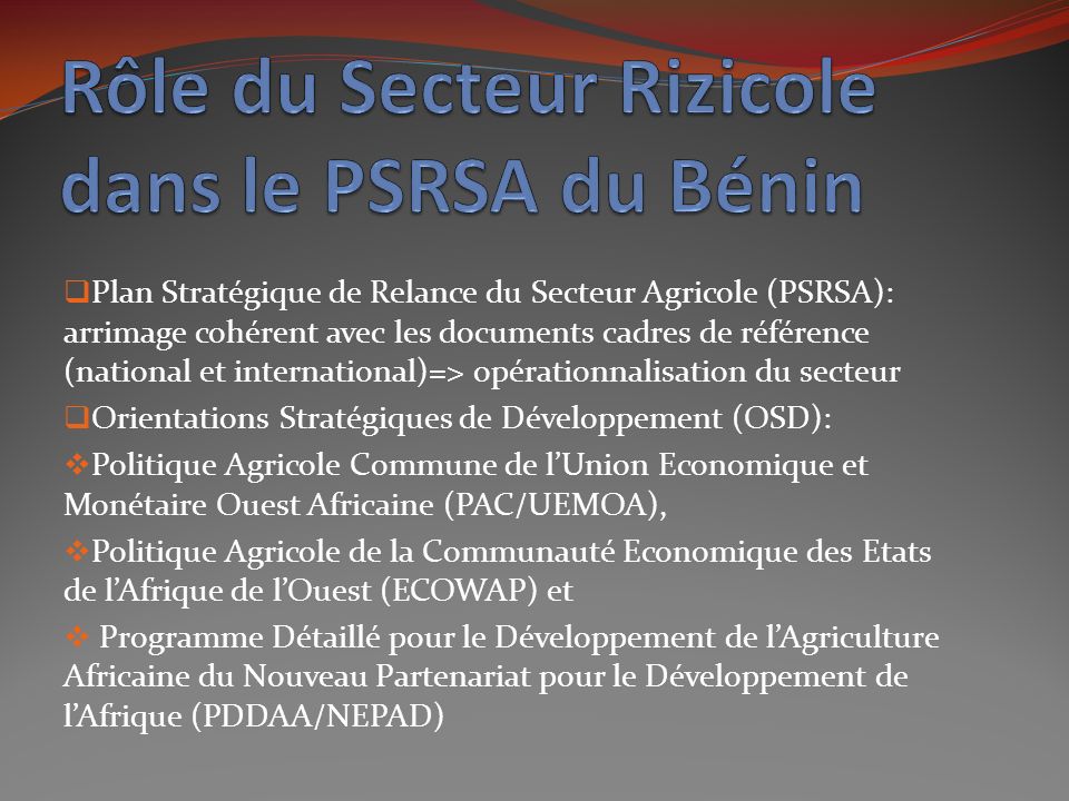 Rôle du Secteur Rizicole dans le PSRSA du Bénin
