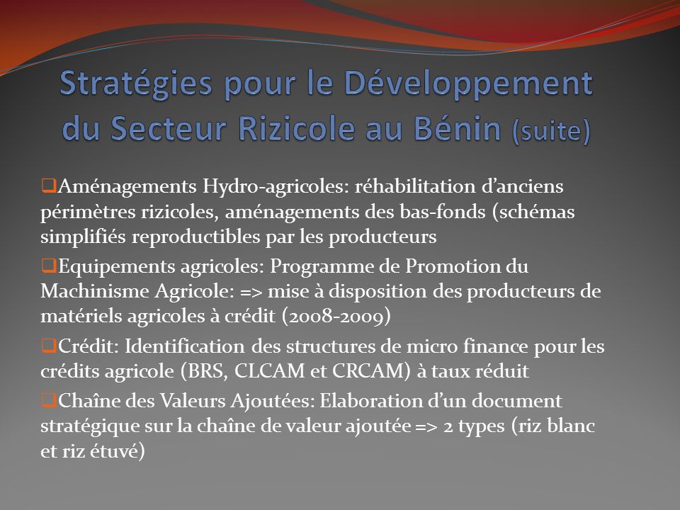Stratégies pour le Développement du Secteur Rizicole au Bénin (suite)
