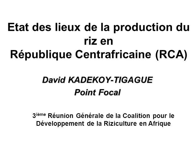 David KADEKOY-TIGAGUE Point Focal