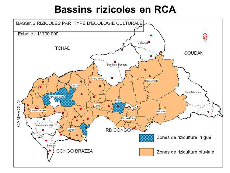 Bassins rizicoles en RCA