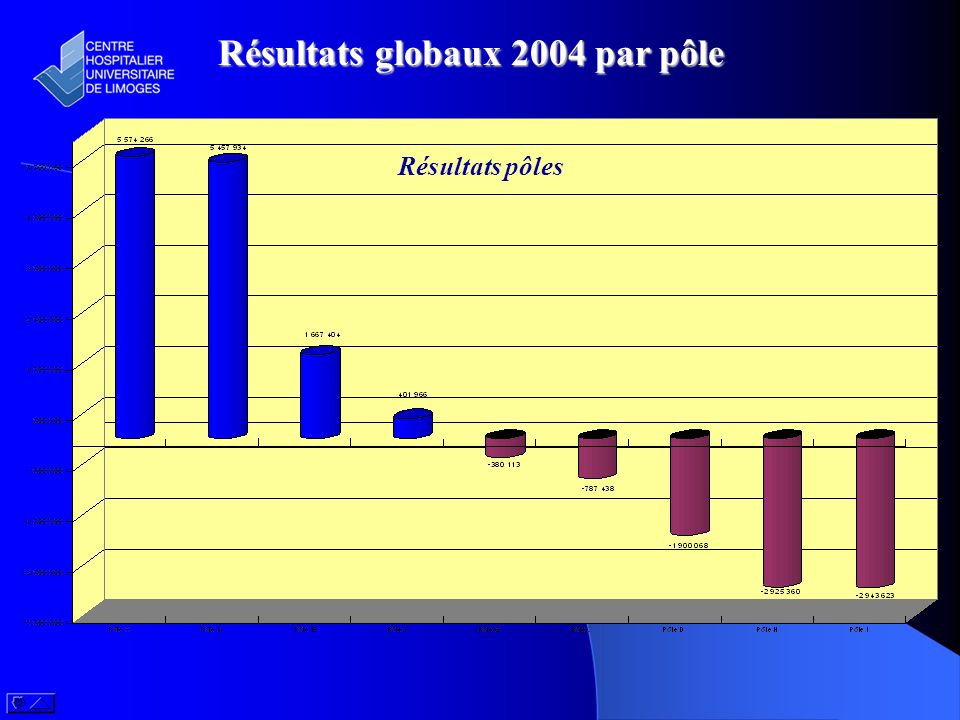 Résultats globaux 2004 par pôle