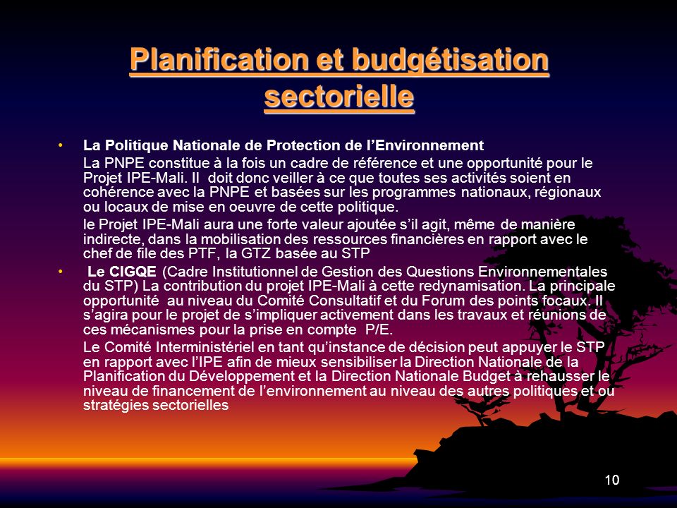 Planification et budgétisation sectorielle
