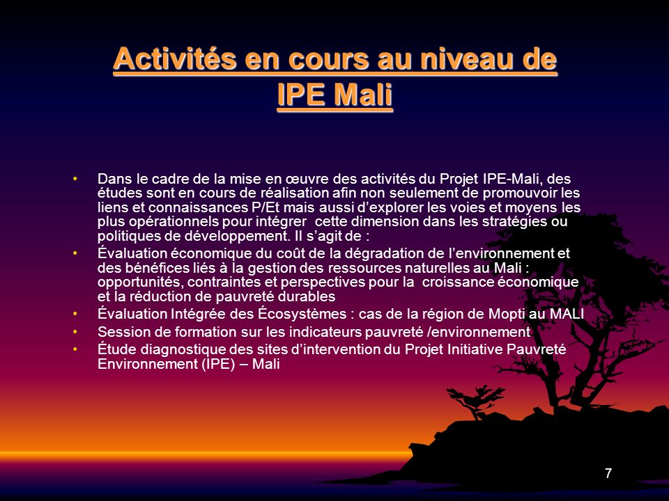 Activités en cours au niveau de IPE Mali