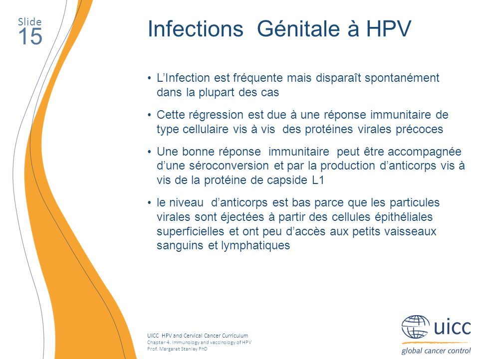 15 Infections Génitale à HPV Slide