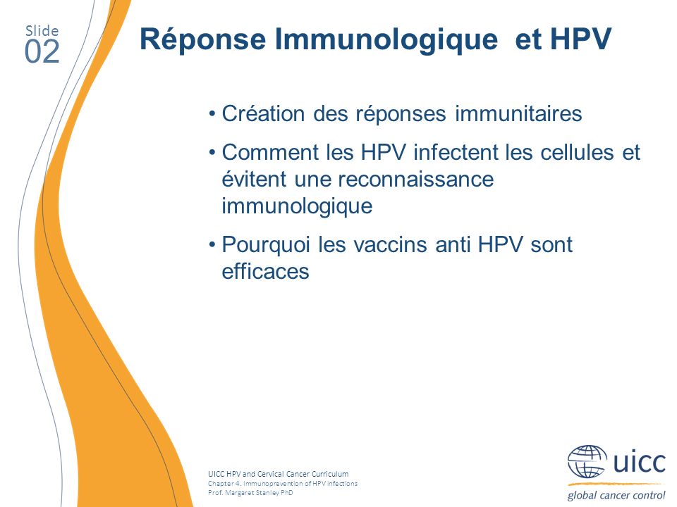 02 Réponse Immunologique et HPV Création des réponses immunitaires