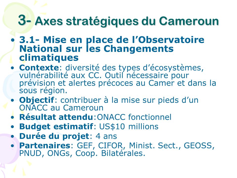 3- Axes stratégiques du Cameroun
