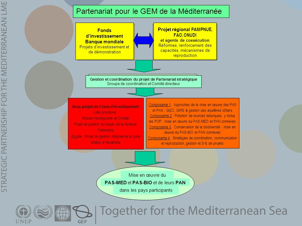Partenariat pour le GEM de la Méditerranée