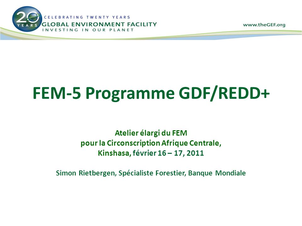 FEM-5 Programme GDF/REDD+
