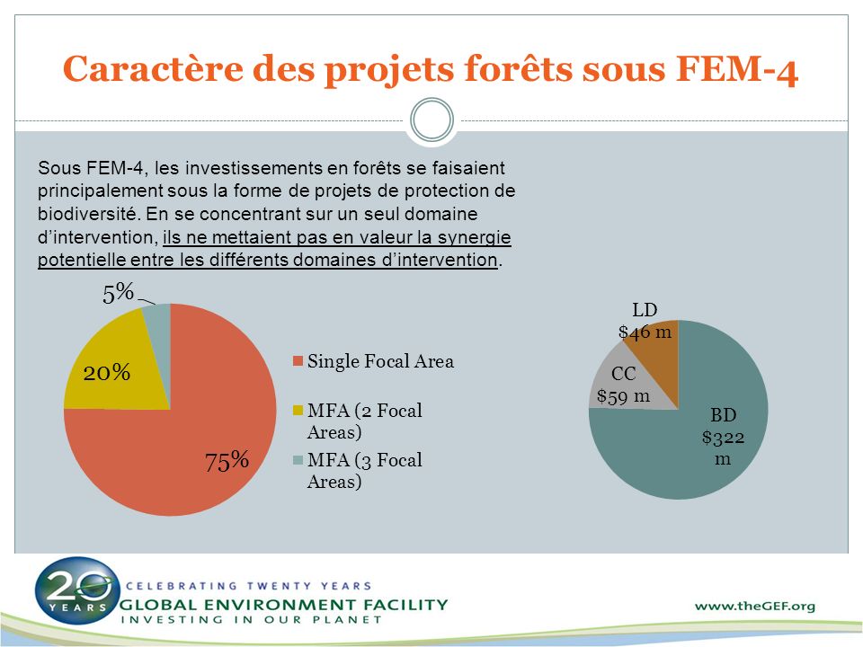 Caractère des projets forêts sous FEM-4