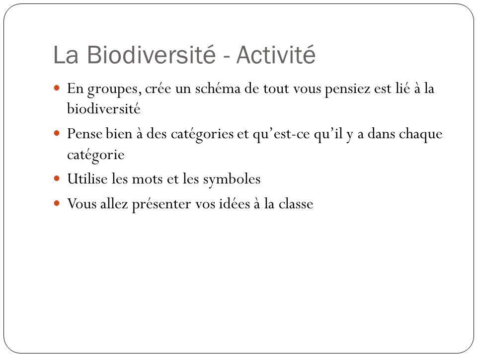 La Biodiversité - Activité