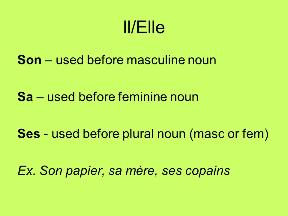 Il/Elle Son – used before masculine noun