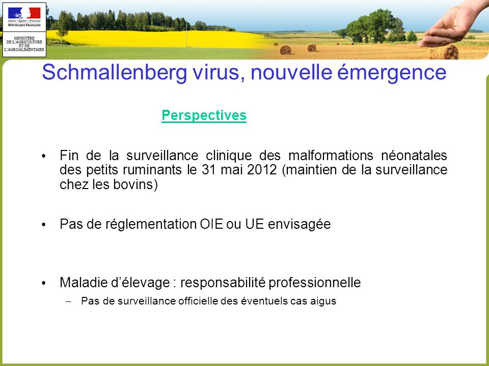 Schmallenberg virus, nouvelle émergence