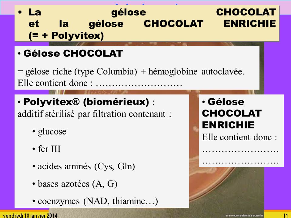 4. Isolement La gélose CHOCOLAT et la gélose CHOCOLAT ENRICHIE (= + Polyvitex) Gélose CHOCOLAT.