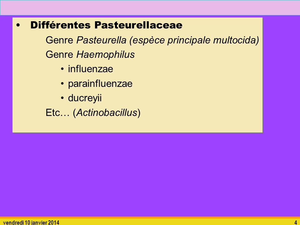 Différentes Pasteurellaceae