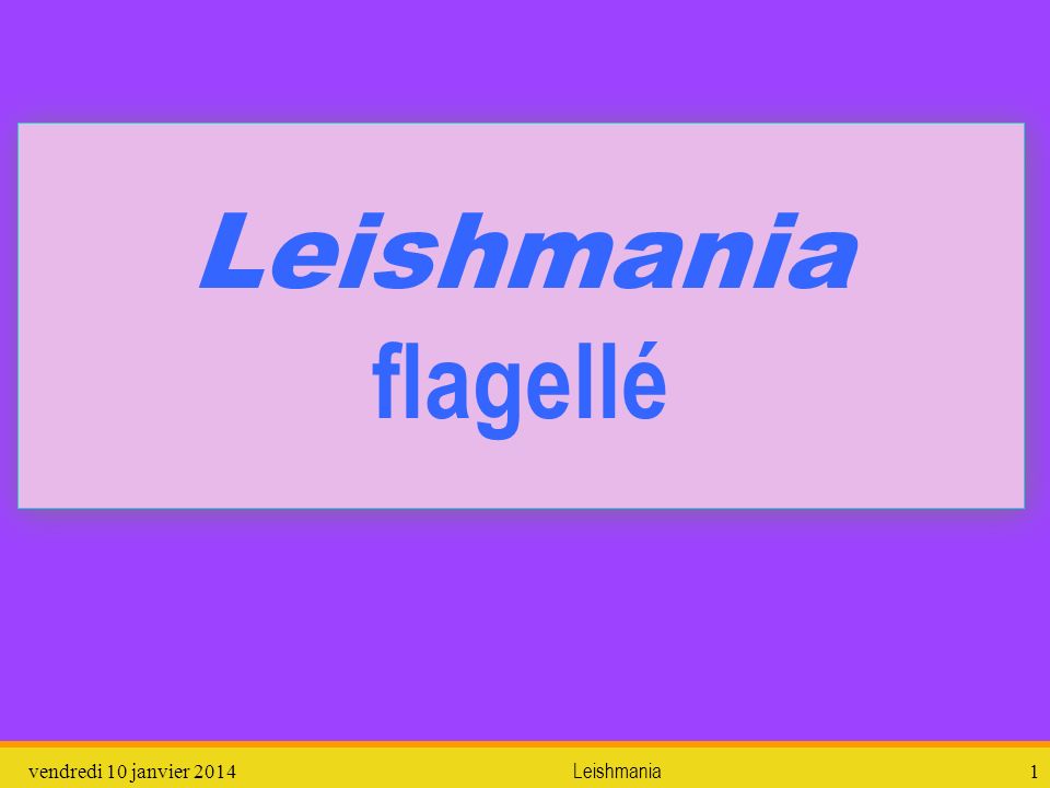 Leishmania flagellé dimanche 26 mars 2017 Leishmania