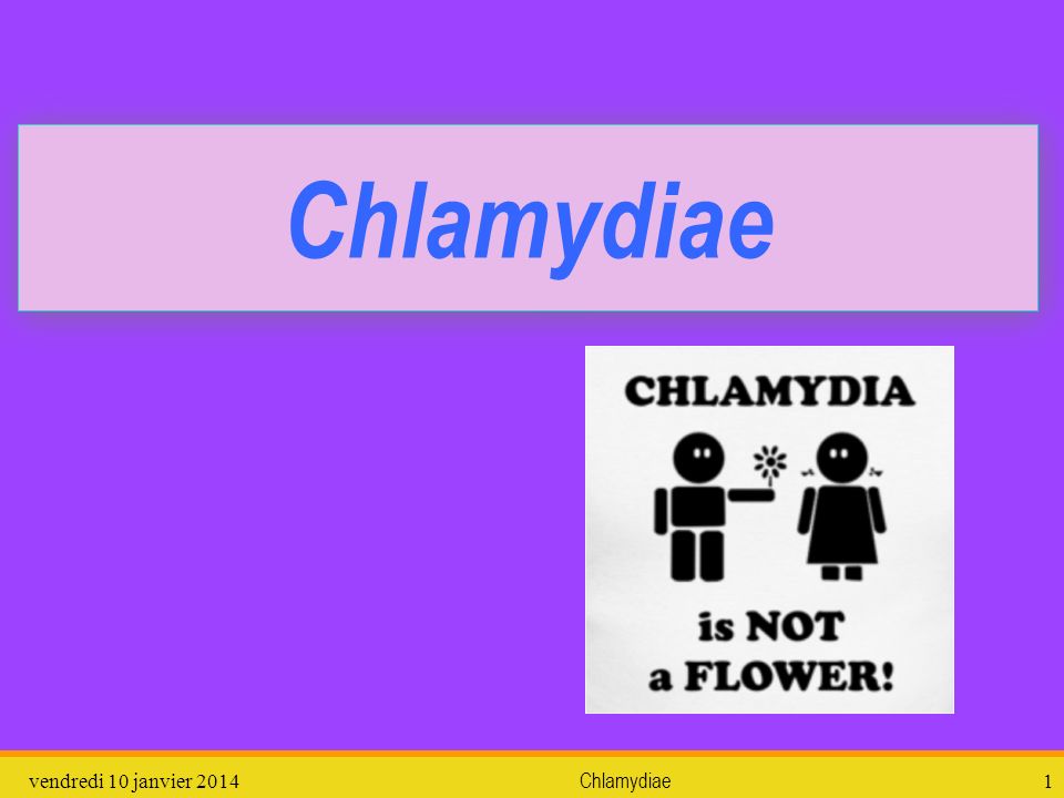Chlamydiae dimanche 26 mars 2017 Chlamydiae