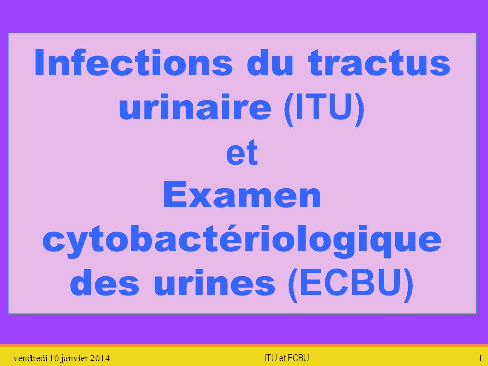 Infections du tractus urinaire (ITU) et Examen cytobactériologique des urines (ECBU)