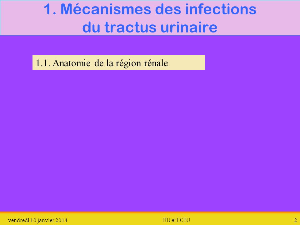 1. Mécanismes des infections du tractus urinaire