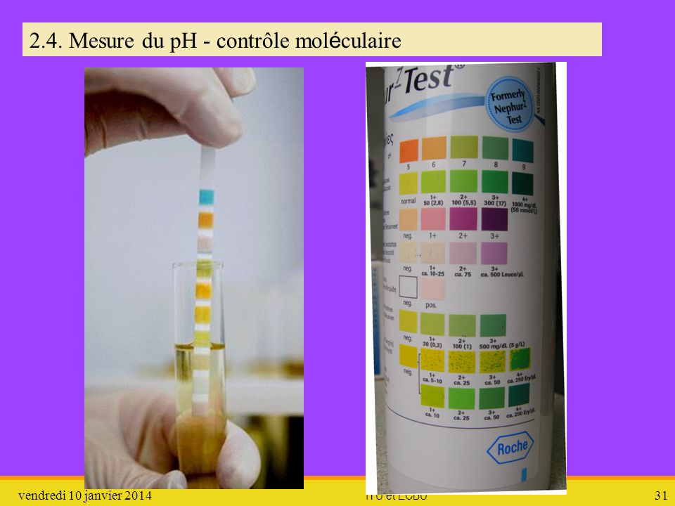 2.4. Mesure du pH - contrôle moléculaire